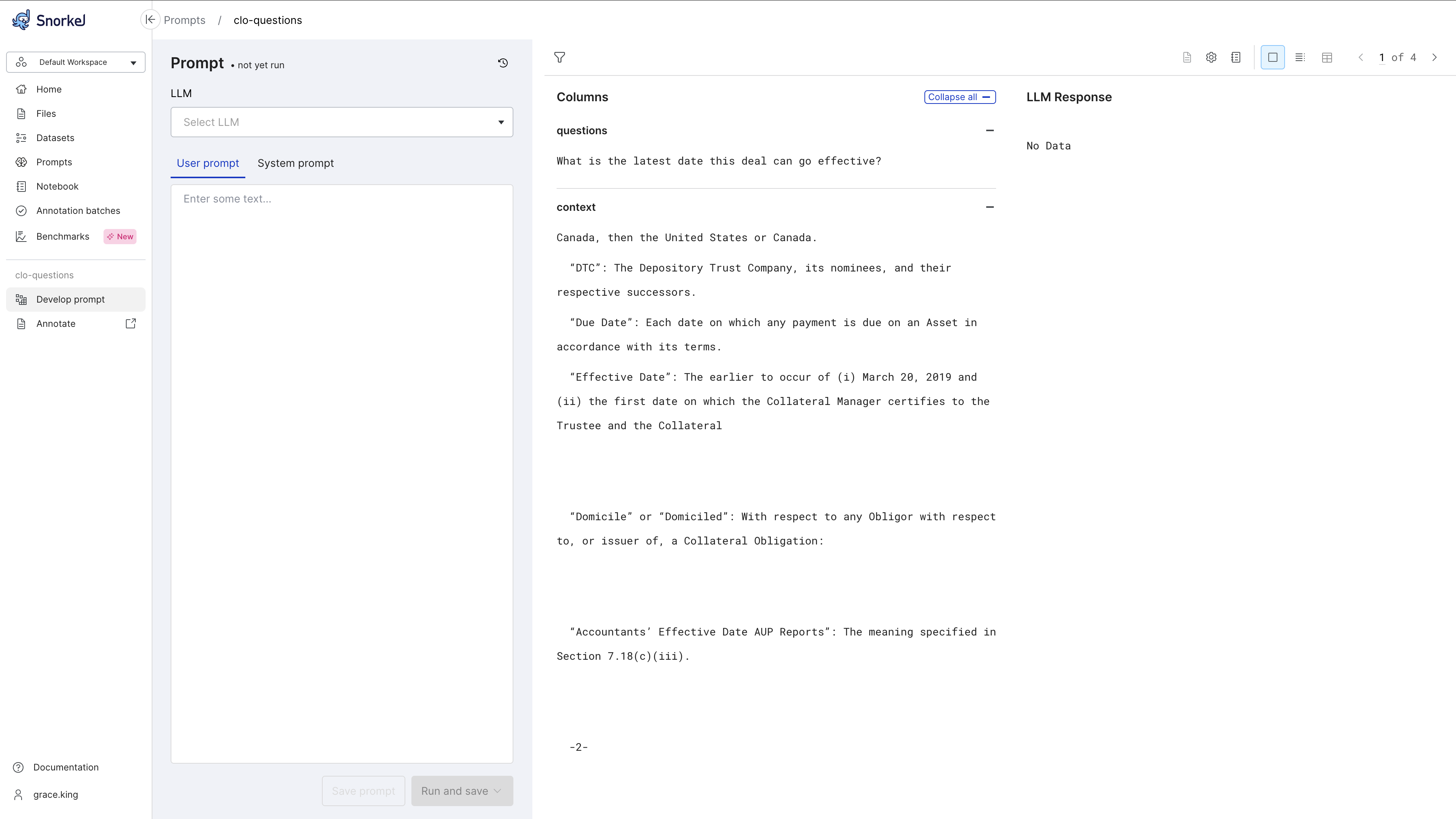 Initial prompt workflow page. View and page through your input dataset.